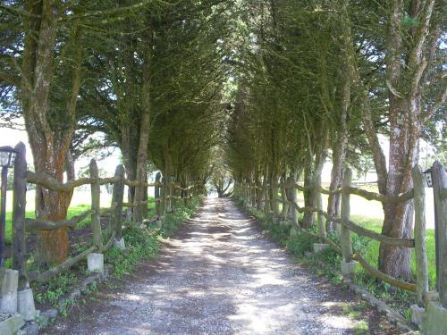 Fotografia de Neyret - Galeria Fotografica: natural - Foto: natural