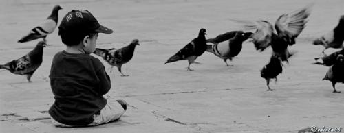 Fotografia de Eder8a - Fotgrafo Profesional - Galeria Fotografica: eder8a - Foto: primeros pasos para volar