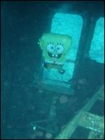 Fotografia de MT - Galeria Fotografica: Mis Fotos - Foto: Bob Esponja