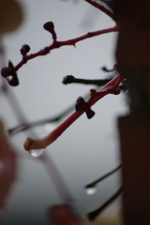 Fotografia de PabloZubiaur - Galeria Fotografica: Otoo 2011 - Foto: 