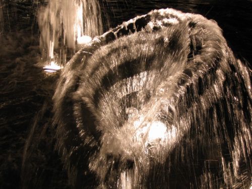 Fotografia de Kini Mercado - Galeria Fotografica: VARIEDAD - Foto: 