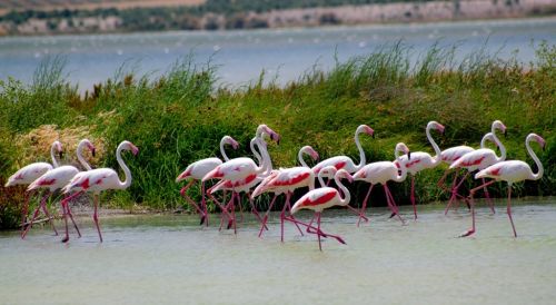 Fotografia de Kini Mercado - Galeria Fotografica: VARIEDAD - Foto: 