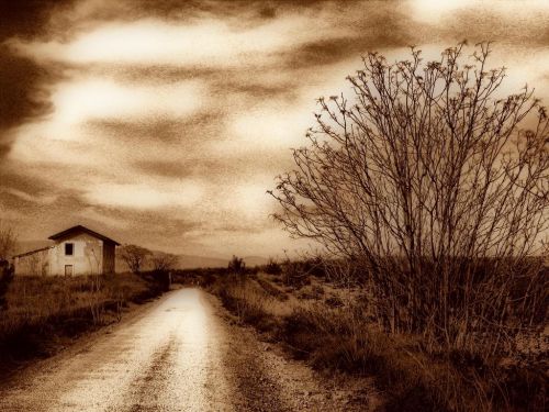 Fotografia de Kini Mercado - Galeria Fotografica: VARIEDAD - Foto: 