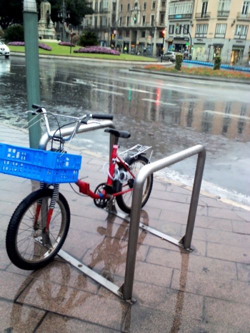 Fotografia de Kini Mercado - Galeria Fotografica: VARIEDAD - Foto: 