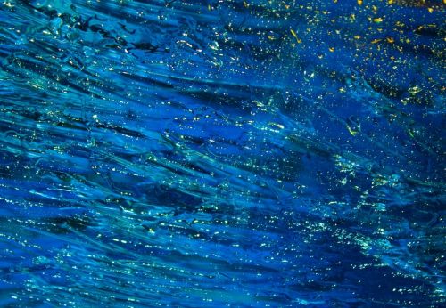 Fotografia de Kini Mercado - Galeria Fotografica: VARIEDAD - Foto: 