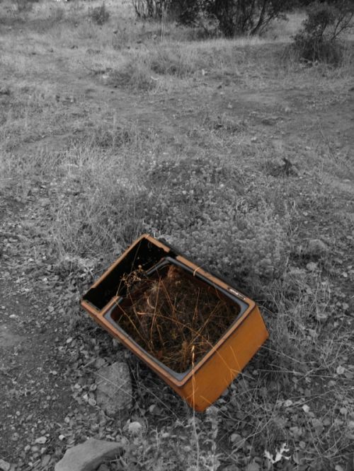 Fotografia de Kini Mercado - Galeria Fotografica: VARIEDAD - Foto: 