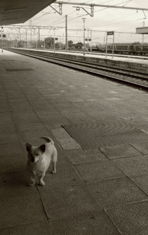 Fotografia de Kini Mercado - Galeria Fotografica: VARIEDAD - Foto: 