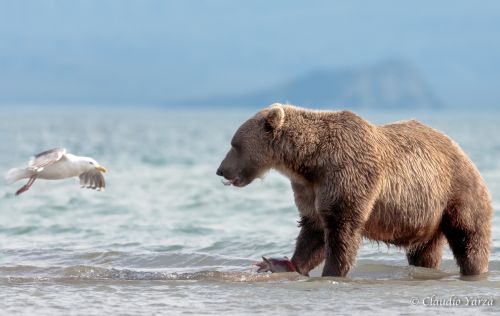 Fotografia de Claudio - Galeria Fotografica: Claudio - Foto: 