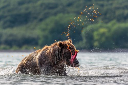 Fotografia de Claudio - Galeria Fotografica: Claudio - Foto: 