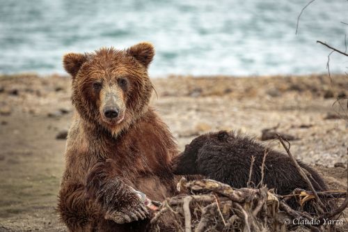 Fotografia de Claudio - Galeria Fotografica: Claudio - Foto: 