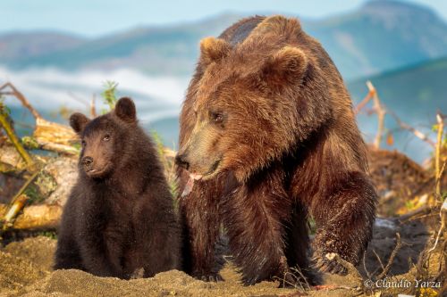 Fotografia de Claudio - Galeria Fotografica: Claudio - Foto: 