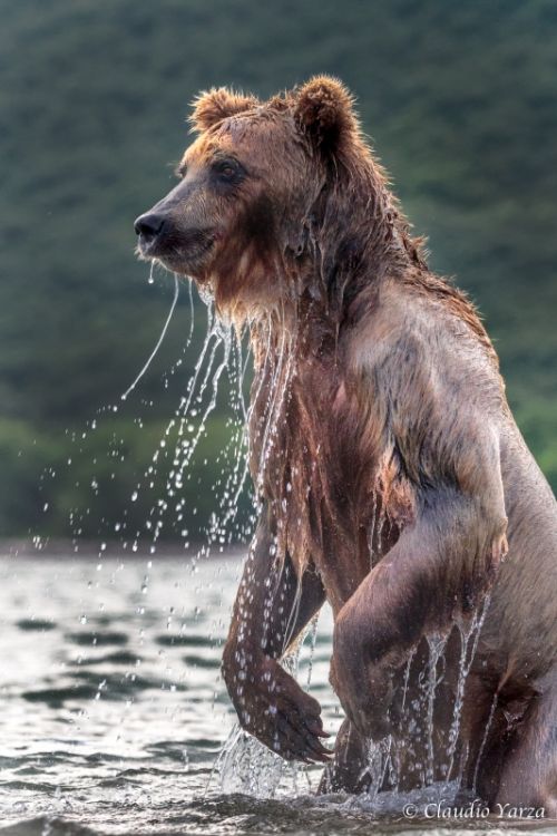 Fotografia de Claudio - Galeria Fotografica: Claudio - Foto: 