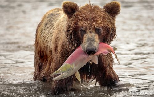 Fotografia de Claudio - Galeria Fotografica: Claudio - Foto: 