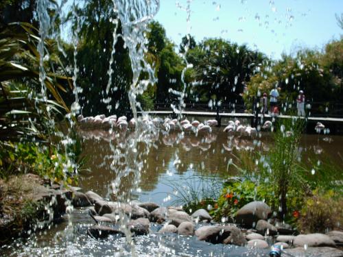 Fotografia de paulim - Galeria Fotografica: galeria 1 , naturaleza casera - Foto: cascada