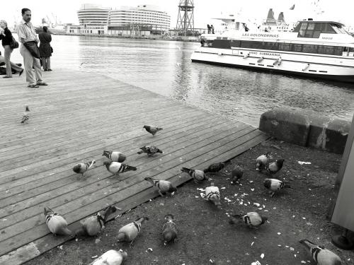 Fotografia de mamafunk - Galeria Fotografica: Barcelona - Foto: maremagnum2