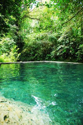 Fotografia de javier camacho - Galeria Fotografica: mis viajes - Foto: todo un paraiso