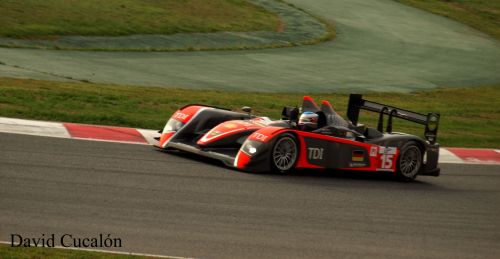Fotografia de David Cucaln - Galeria Fotografica: Le Mans Series 2009 Montmel - Foto: Audi TDI Le Mans