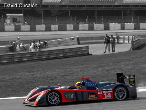 Fotografia de David Cucaln - Galeria Fotografica: Le Mans Series 2009 Montmel - Foto: Audi TDI Le Mans