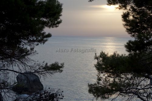 Fotografia de Mura Fotografa - Galeria Fotografica: Selecciones - Foto: 