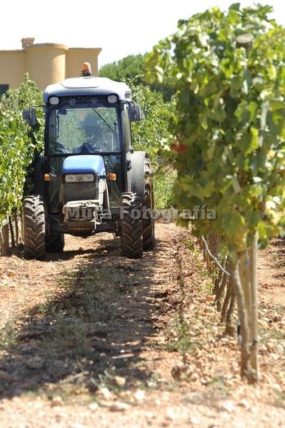 Fotografia de Mura Fotografa - Galeria Fotografica: Selecciones - Foto: 