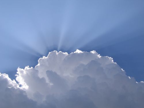 Fotografia de MACURO - Galeria Fotografica: Edicin Macuro - Foto: 