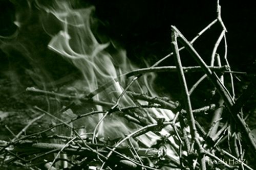 Fotografia de freddy hernandez o. - Galeria Fotografica: Miscelnea - Foto: 