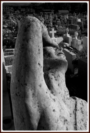 Fotografia de freddy hernandez o. - Galeria Fotografica: Miscel�nea - Foto: 