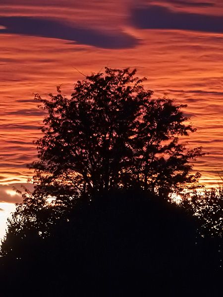 Fotografia de FOTO digitalhambra - Galeria Fotografica: Atardecer - Foto: 