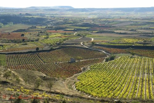 Fotografia de J.M. Zorzano - Galeria Fotografica: Vias - Foto: Vias desde el castillo de Davalillo 10