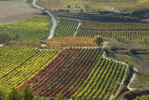 Fotografia de J.M. Zorzano - Galeria Fotografica: Vias - Foto: Vias desde el castillo de Davalillo 09