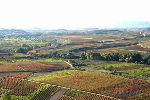 Fotografia de J.M. Zorzano - Galeria Fotografica: Vias - Foto: Vias desde el castillo de Davalillo 07