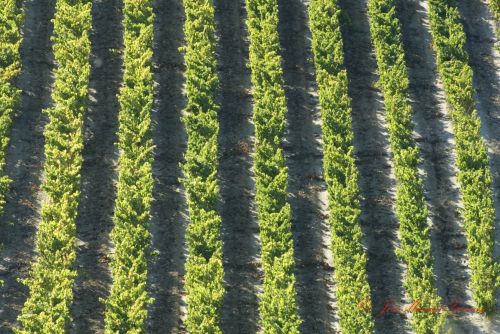 Fotografia de J.M. Zorzano - Galeria Fotografica: Vias - Foto: Vias desde el castillo de Davalillo04