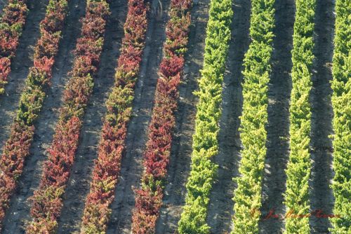 Fotografia de J.M. Zorzano - Galeria Fotografica: Vias - Foto: Vias desde el castillo de Davalillo 03