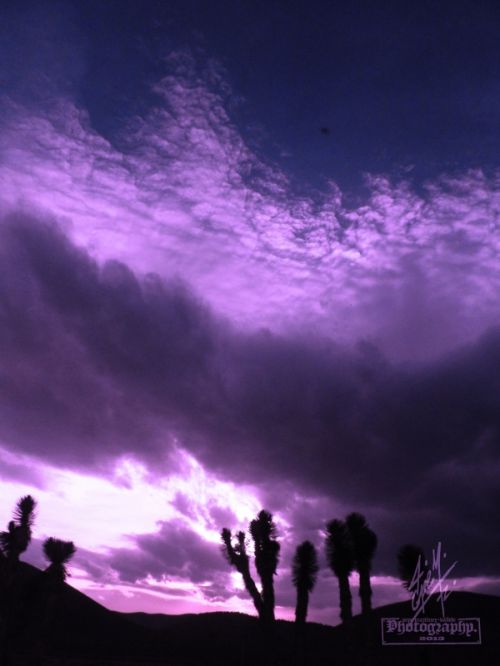 Fotografia de pepe martinez-vallejo - Galeria Fotografica: QUERETARO. - Foto: 