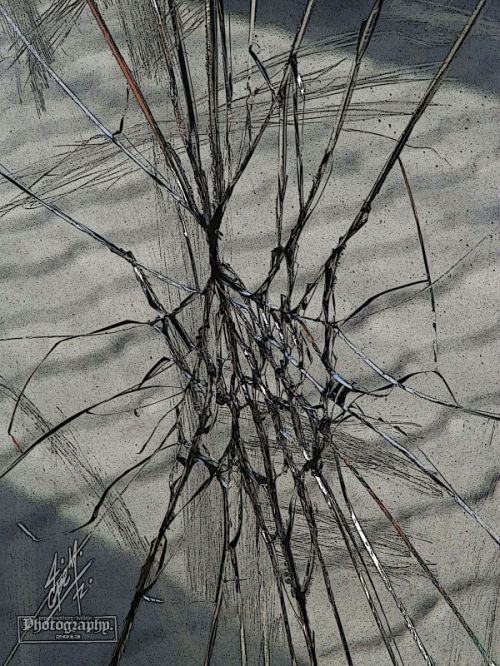 Fotografia de pepe martinez-vallejo - Galeria Fotografica: QUERETARO. - Foto: 