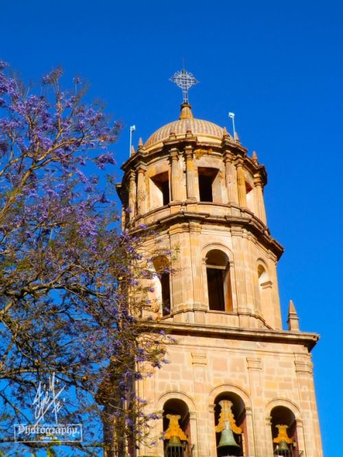 Fotografia de pepe martinez-vallejo - Galeria Fotografica: QUERETARO. - Foto: 