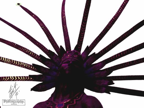 Fotografia de pepe martinez-vallejo - Galeria Fotografica: QUERETARO. - Foto: 