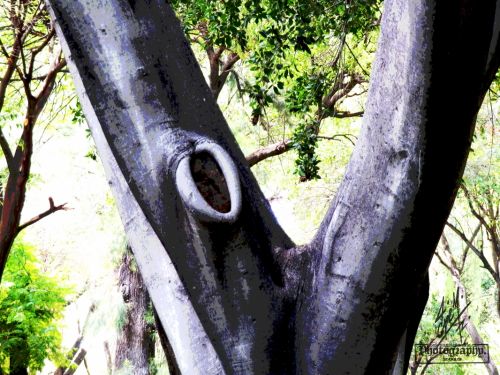 Fotografia de pepe martinez-vallejo - Galeria Fotografica: QUERETARO. - Foto: 