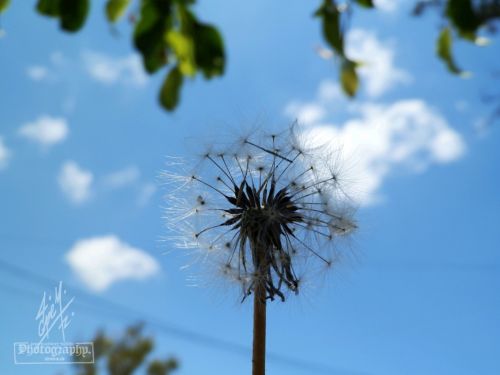 Fotografia de pepe martinez-vallejo - Galeria Fotografica: QUERETARO. - Foto: 