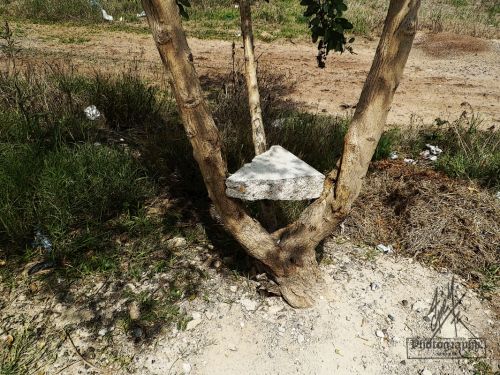 Fotografia de pepe martinez-vallejo - Galeria Fotografica: QUERETARO. - Foto: 