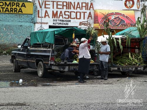 Fotografia de pepe martinez-vallejo - Galeria Fotografica: QUERETARO. - Foto: 