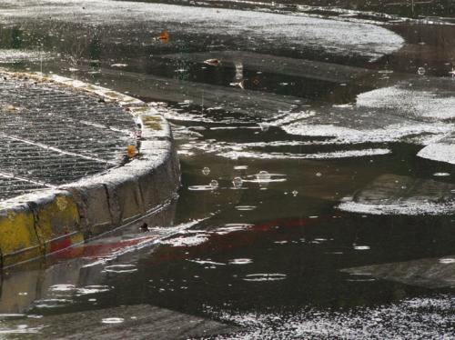 Fotografia de j.j.bradock - Galeria Fotografica: Natura sola - Foto: gotas de lluvia