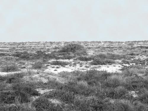 Fotografia de j.j.bradock - Galeria Fotografica: Natura sola - Foto: La colina plana