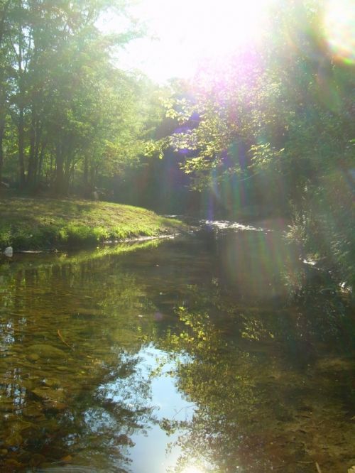 Fotografia de avompla - Galeria Fotografica: mis fotos - Foto: 