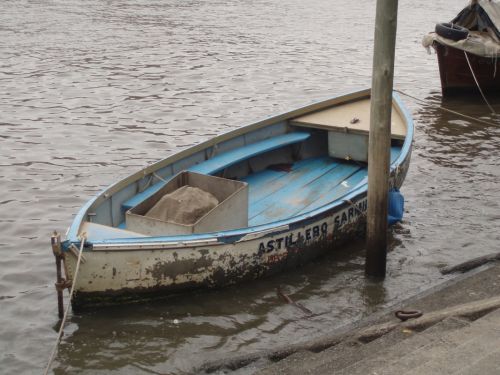 Fotografia de mirada digital - Galeria Fotografica: tigre  - Foto: 