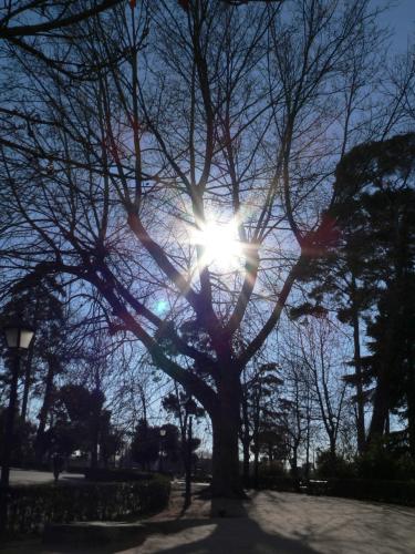 Fotografia de Luciano - Galeria Fotografica: Contraluz - Foto: Cuando Dios juega a esconderse