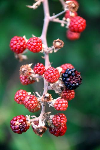 Fotografia de fotojbp - Galeria Fotografica: Mis Fotos - Foto: 