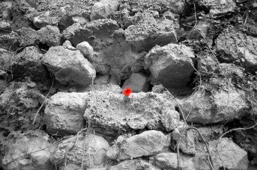 Fotografia de fotojbp - Galeria Fotografica: Mis Fotos - Foto: 