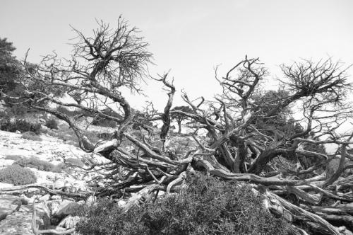 Fotografia de fotojbp - Galeria Fotografica: Mis Fotos - Foto: 