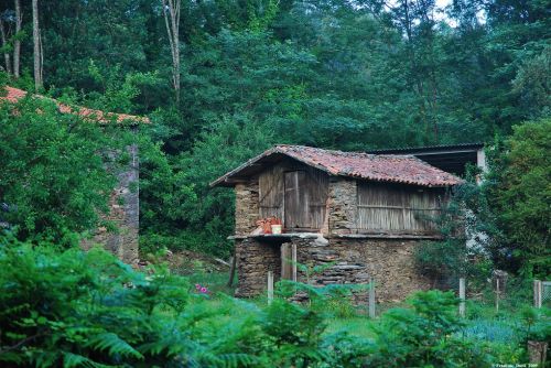 Fotografia de Francesc Dur - Galeria Fotografica: Camino de Santiago 2009 - Foto: 